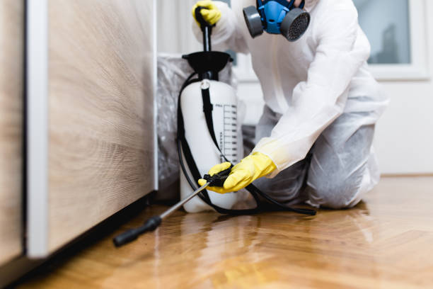 Trusted Jasper, FL Pest Control Experts