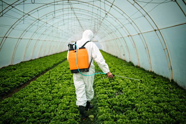 Best Residential Pest Control  in Jasper, FL