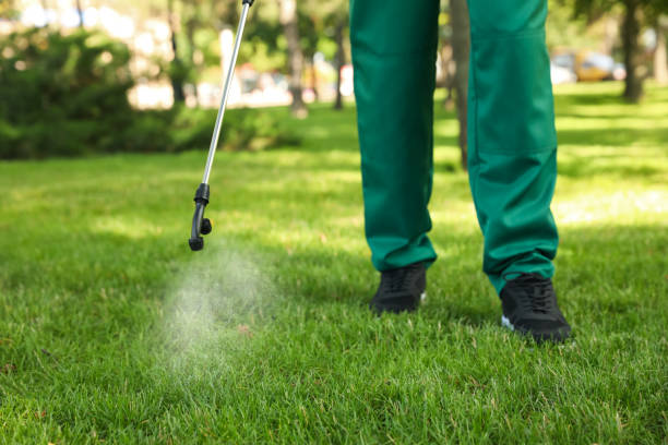 Best Pest Inspection Near Me  in Jasper, FL