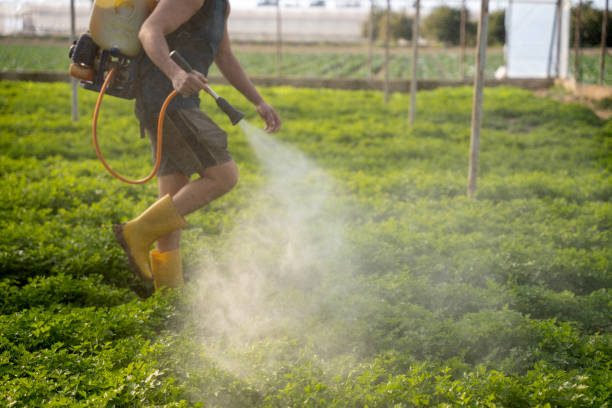 Best Insect Control  in Jasper, FL