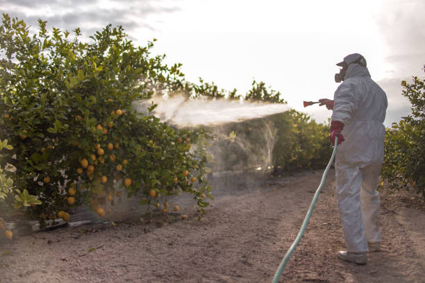 Best Pest Inspection Near Me  in Jasper, FL