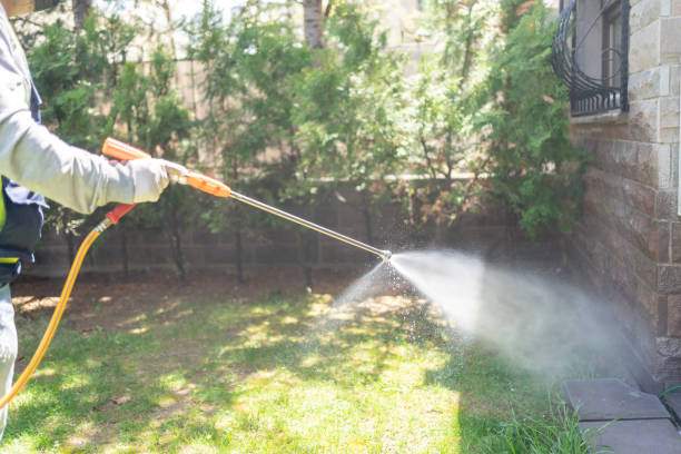 Best Termite Control Services  in Jasper, FL