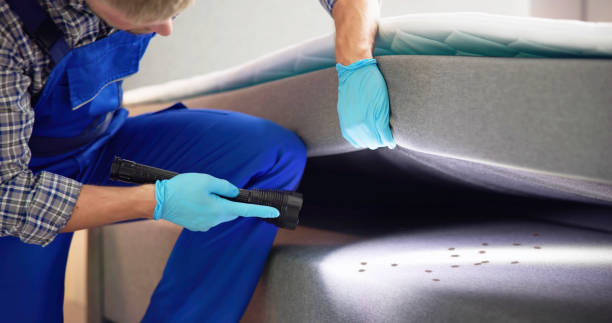Best Best Pest Control Near Me  in Jasper, FL