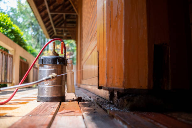 Wasp Removal Services in Jasper, FL