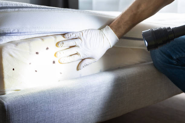 Best Pest Prevention Services  in Jasper, FL