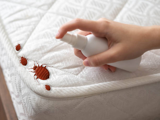 Best Pest Removal Services  in Jasper, FL
